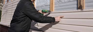 Best Historical Building Siding Restoration  in Woodland Beach, MI